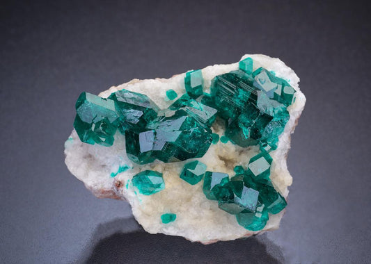 CC45640 specimen image