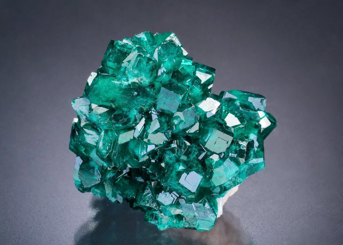 CC45668 specimen image
