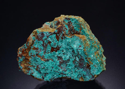 CC45716 specimen image