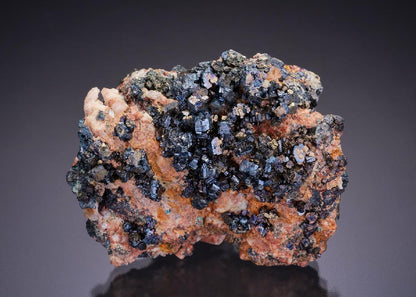 CC45736 specimen image