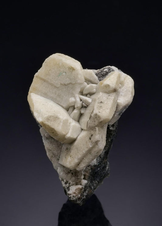 CC45786 specimen image