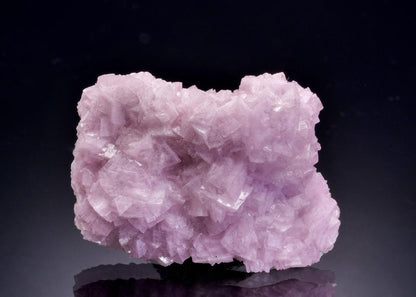 CC45884 specimen image
