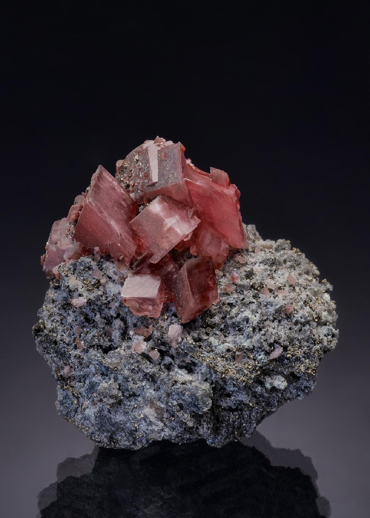CC45944 specimen image