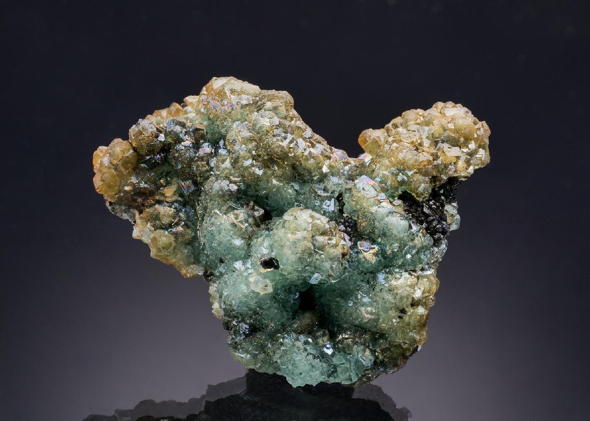 CC45978 specimen image