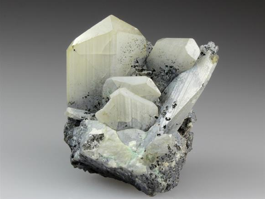 CC4598 specimen image