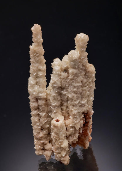 CC46036 specimen image