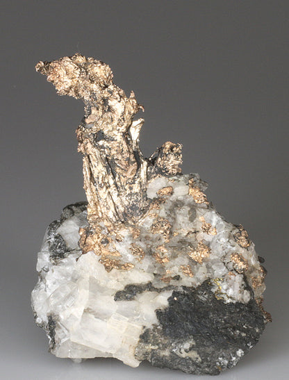 CC4610 specimen image