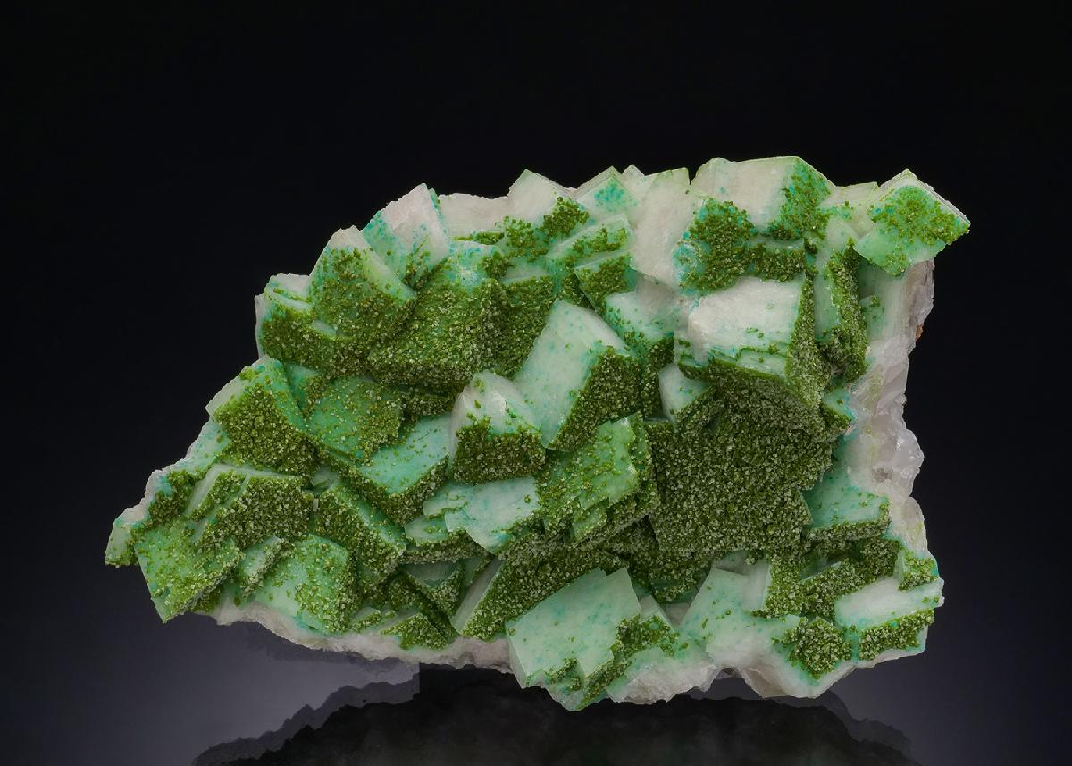 CC46110 specimen image