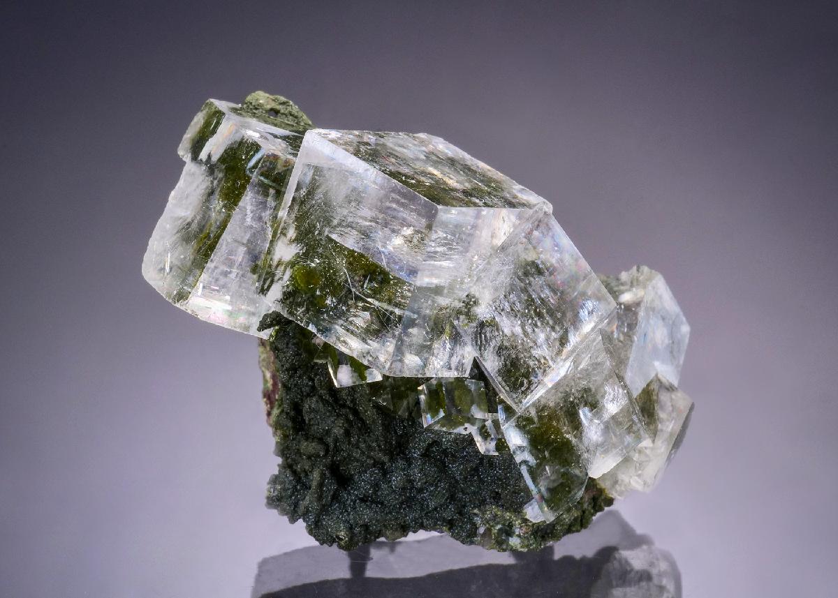 CC46112 specimen image