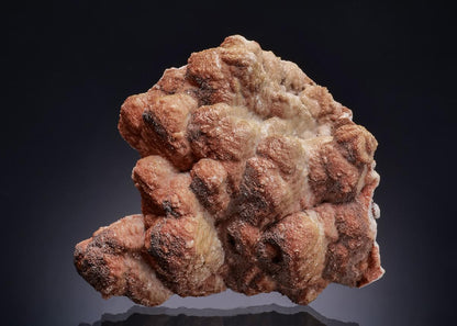 CC46134 specimen image
