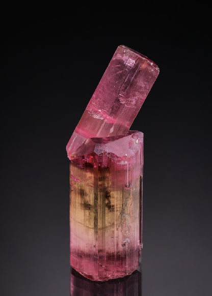 CC46142 specimen image