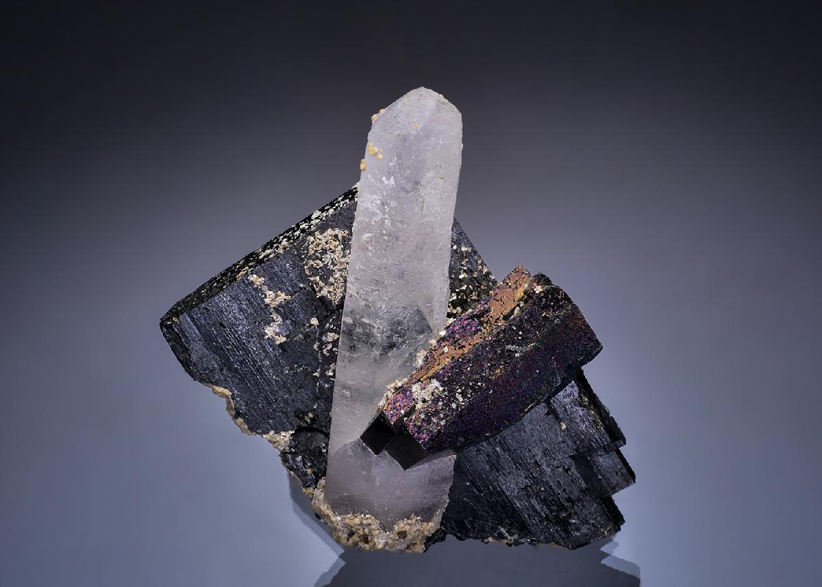 CC46168 specimen image