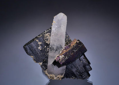 CC46168 specimen image