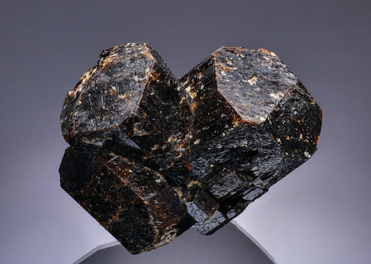 CC46186 specimen image
