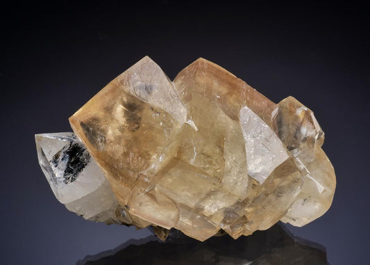 CC46188 specimen image