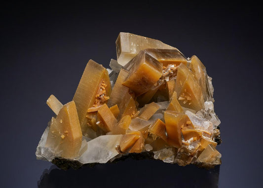 CC46194 specimen image
