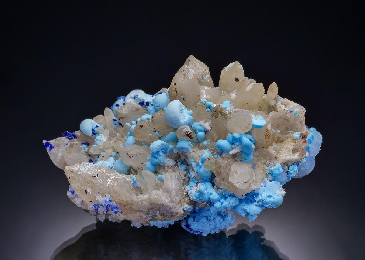 CC46270 specimen image