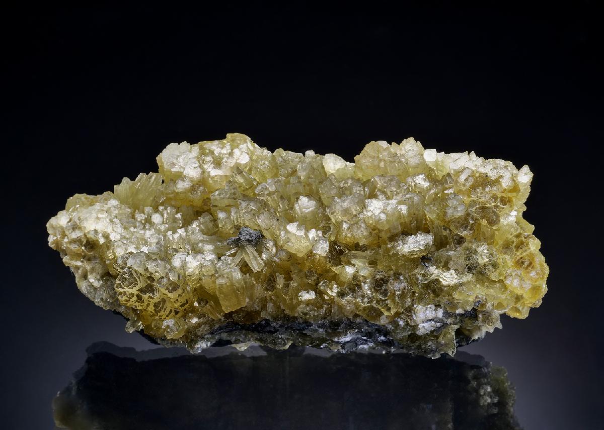 CC46330 specimen image