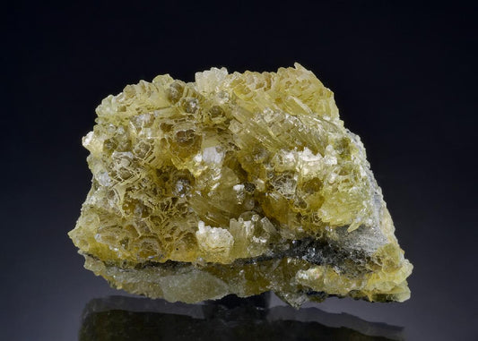 CC46340 specimen image