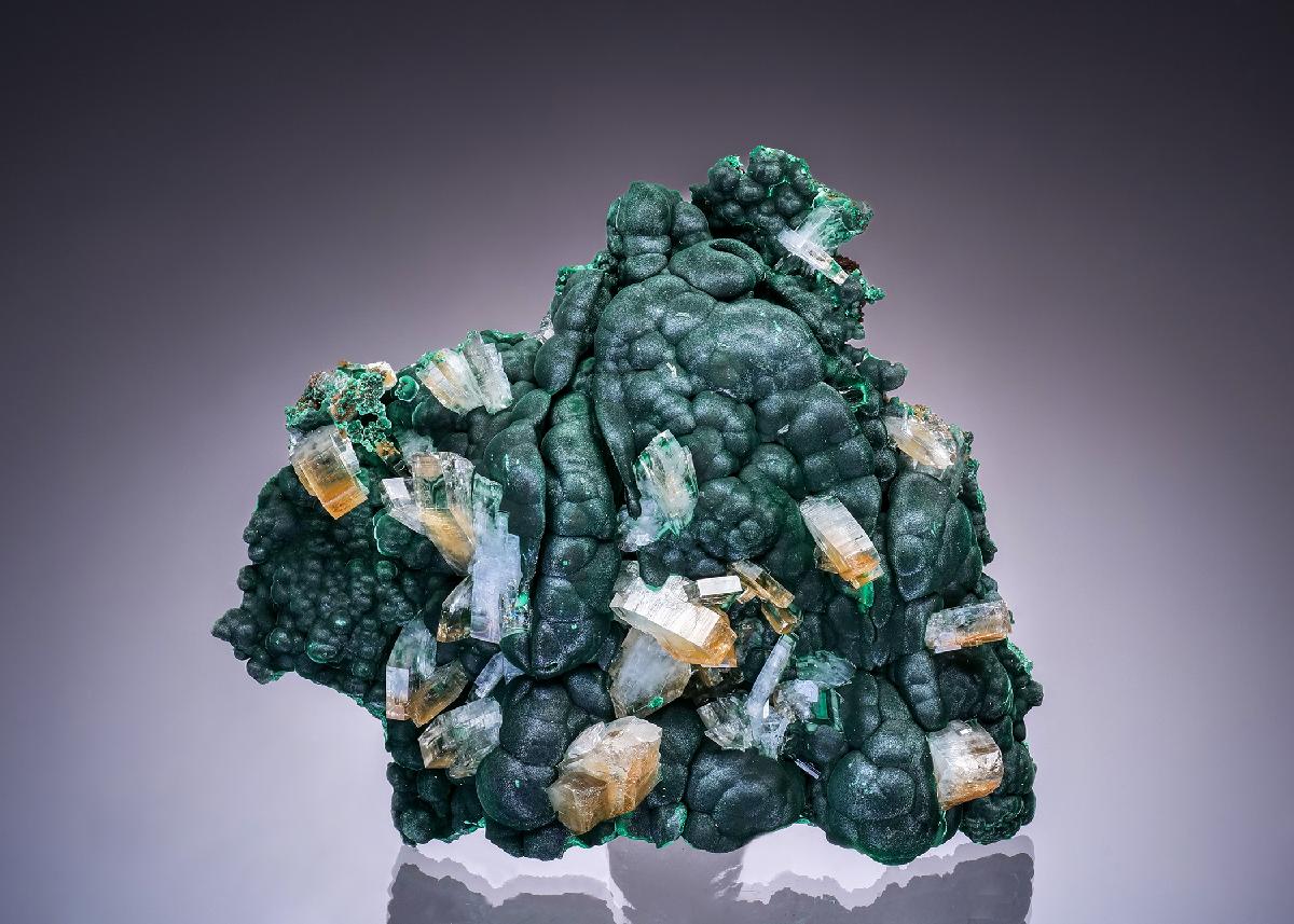 CC46382 specimen image