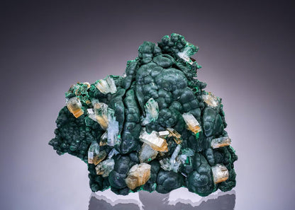 CC46382 specimen image