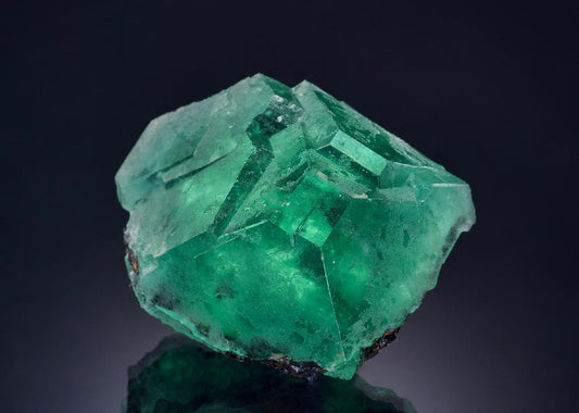 CC46460 specimen image