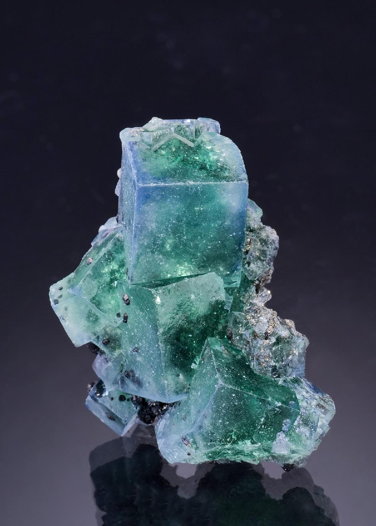 CC46464 specimen image