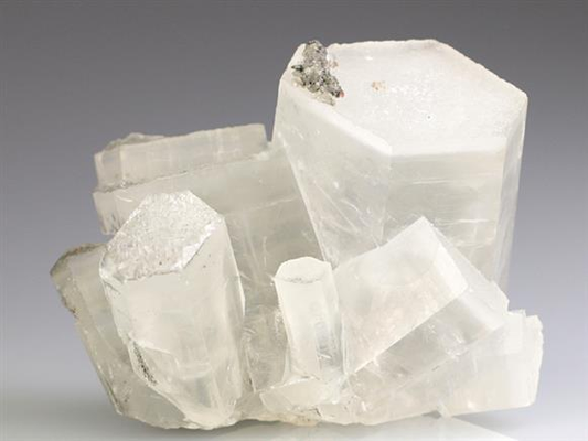 CC4647 specimen image