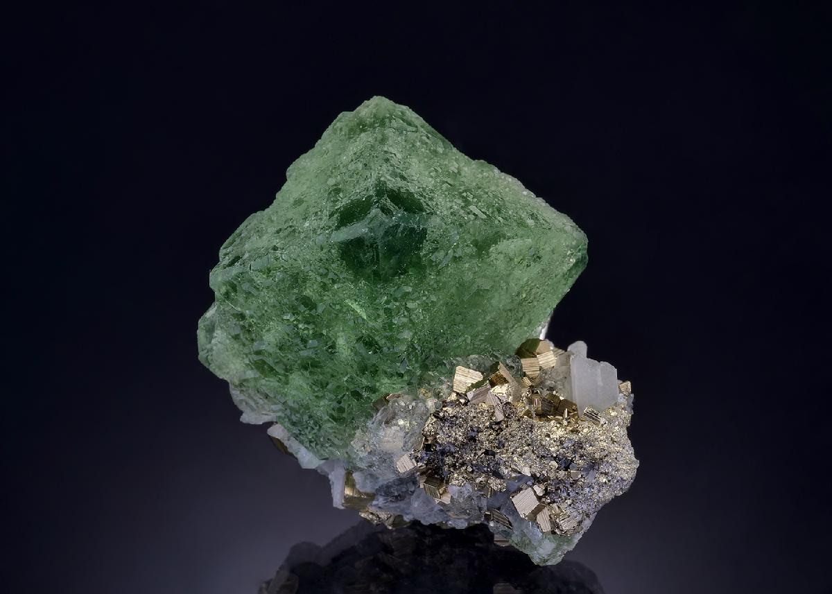 CC46484 specimen image