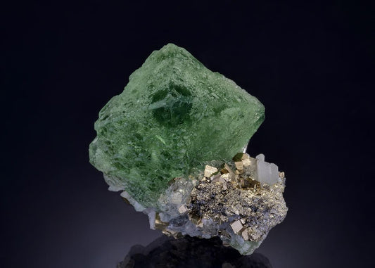 CC46484 specimen image
