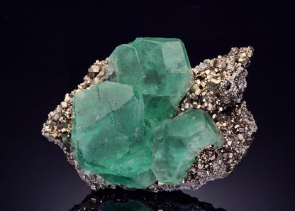 CC46560 specimen image