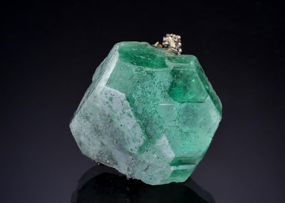 CC46576 specimen image