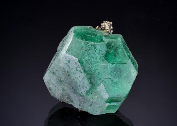 CC46576 specimen image