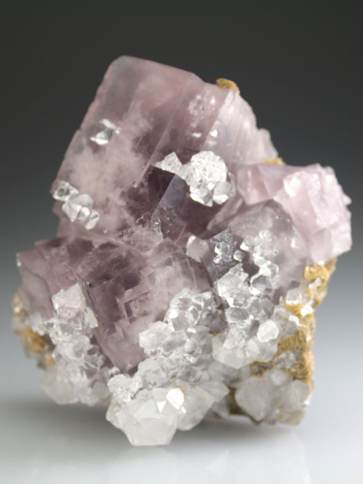 CC4658 specimen image