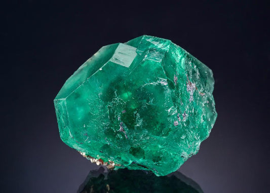 CC46628 specimen image
