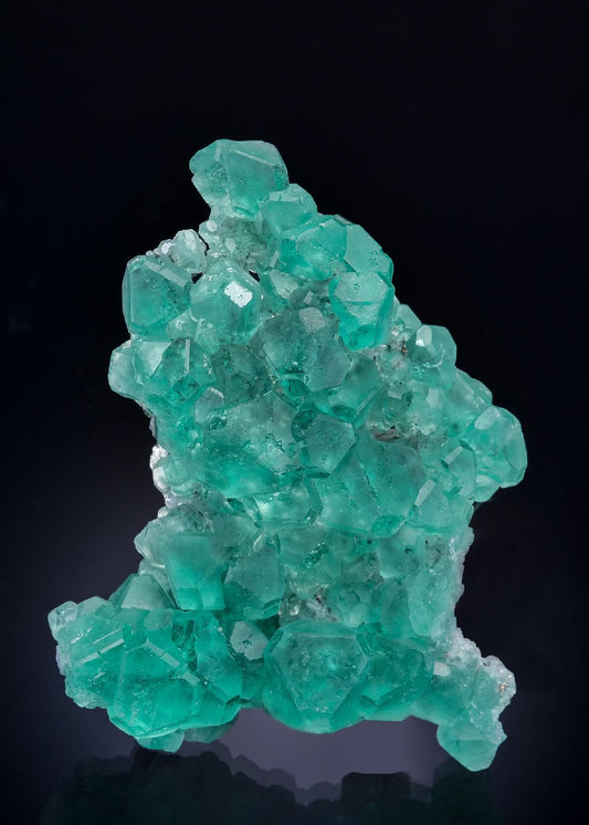 CC46660 specimen image