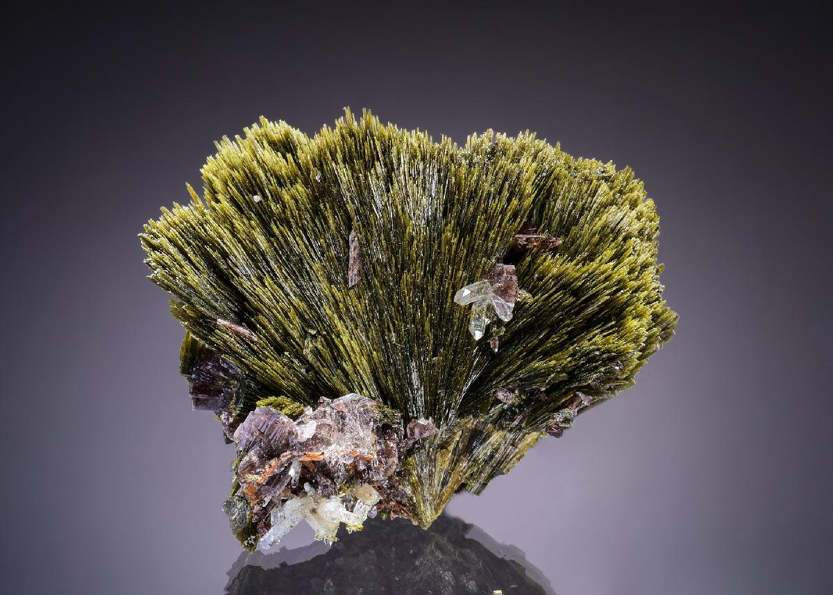 CC46692 specimen image
