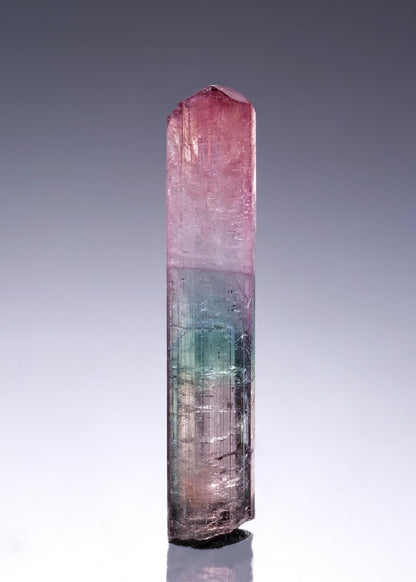 CC46758 specimen image
