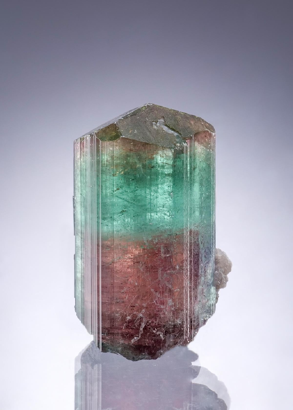 CC46762 specimen image