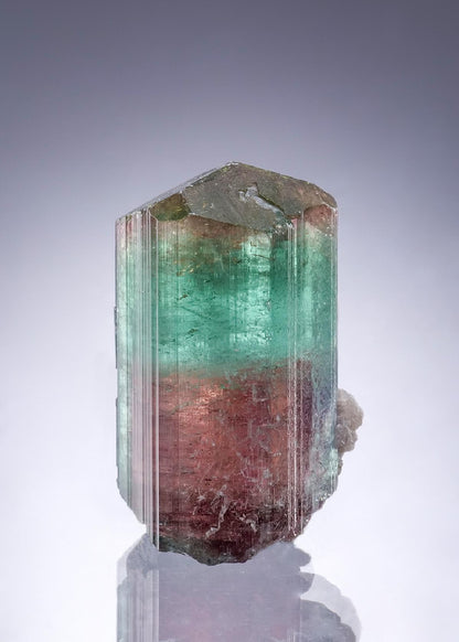 CC46762 specimen image