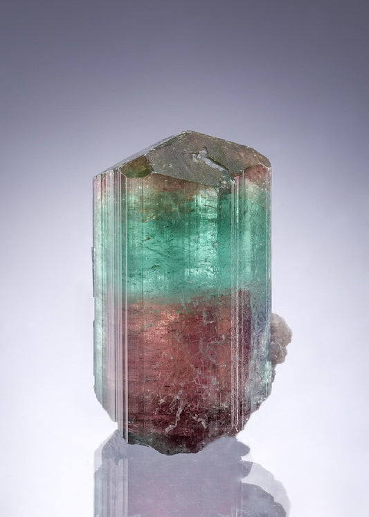 CC46762 specimen image