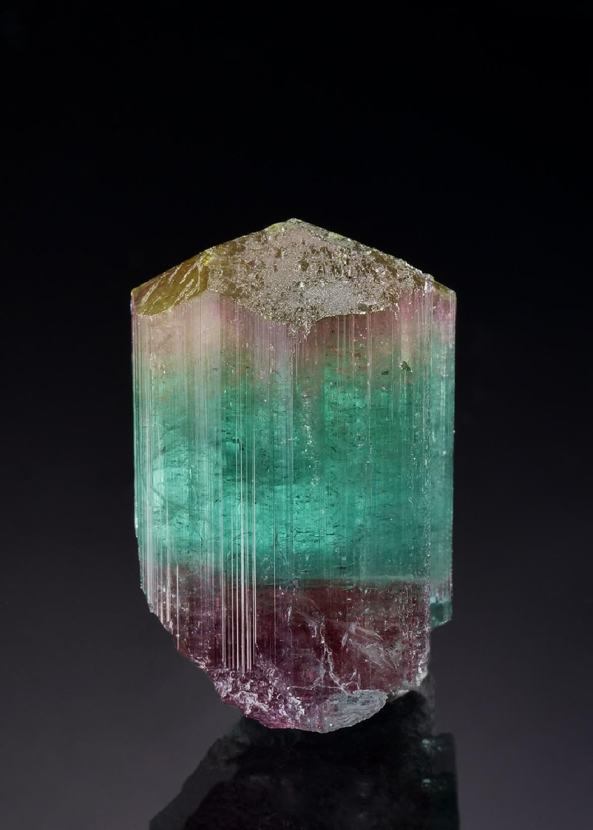 CC46824 specimen image