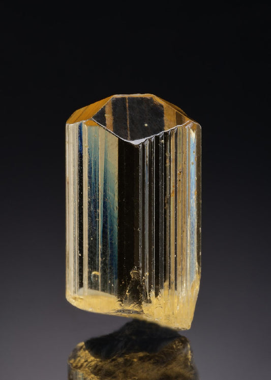 CC46840 specimen image