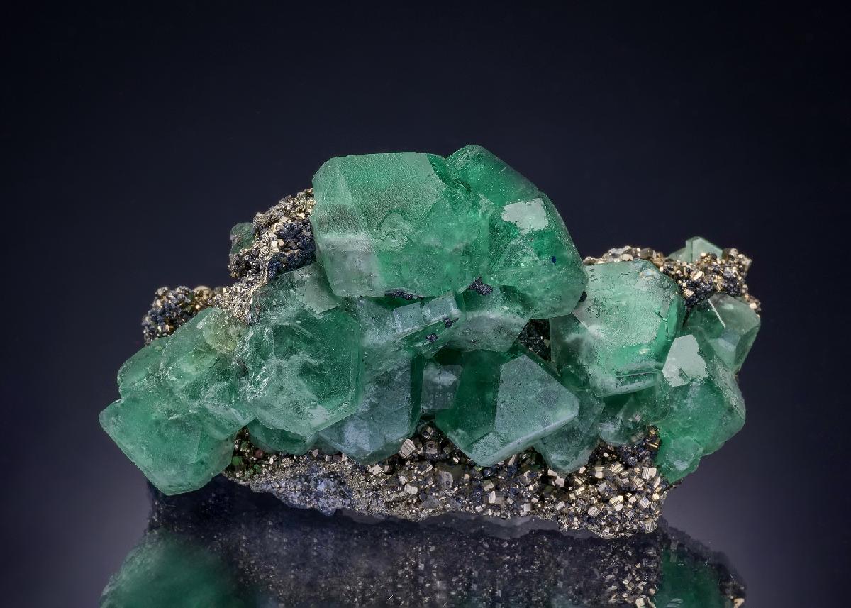 CC46866 specimen image