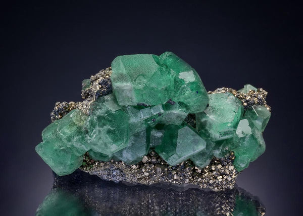 CC46866 specimen image