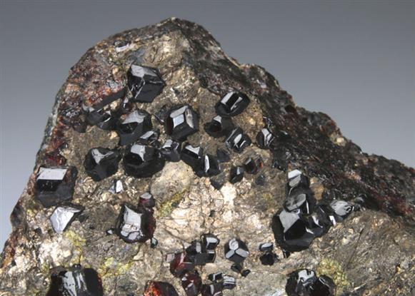 CC4687 specimen image