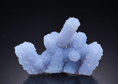 CC46894 specimen image