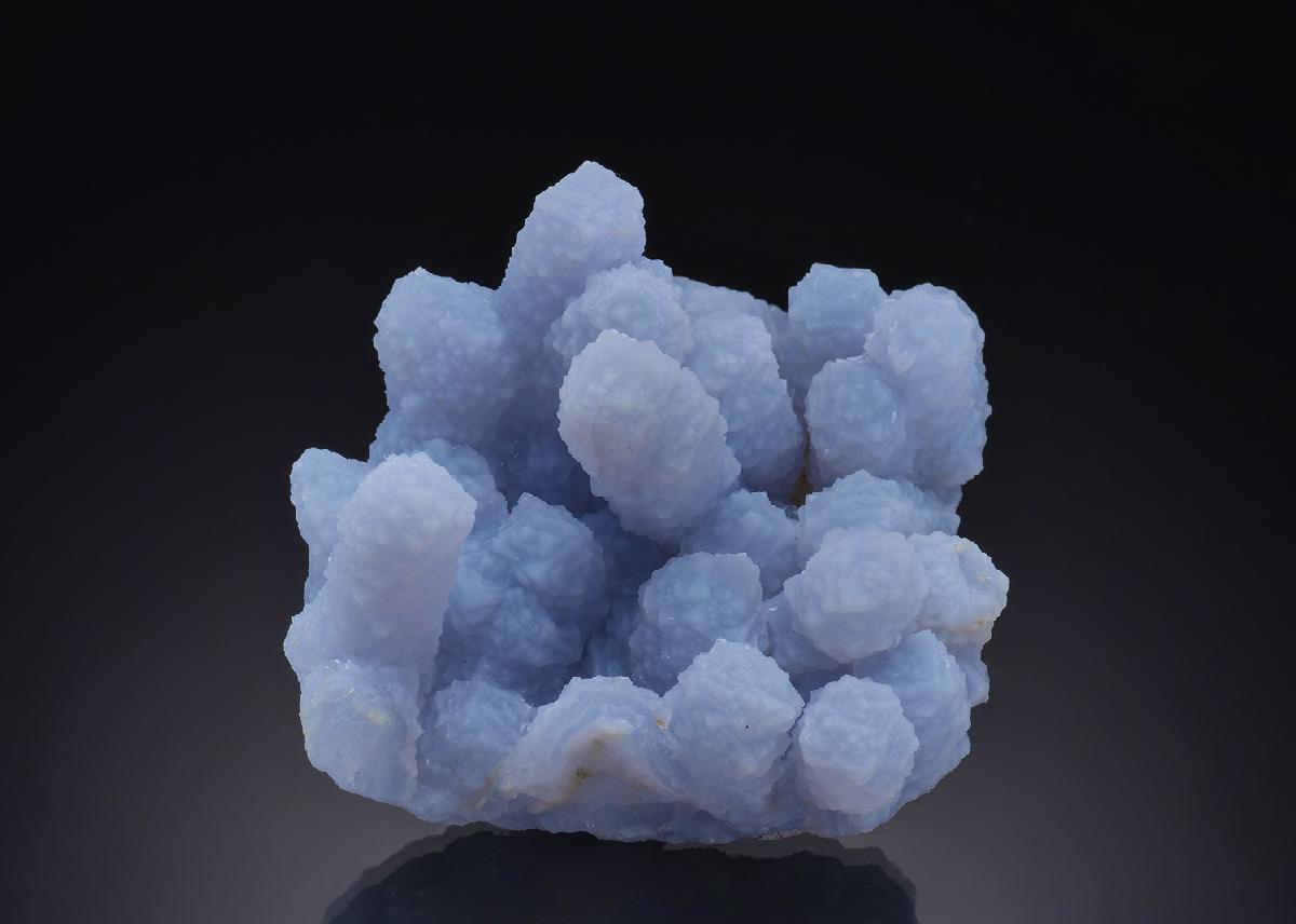 CC46902 specimen image
