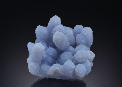 CC46902 specimen image