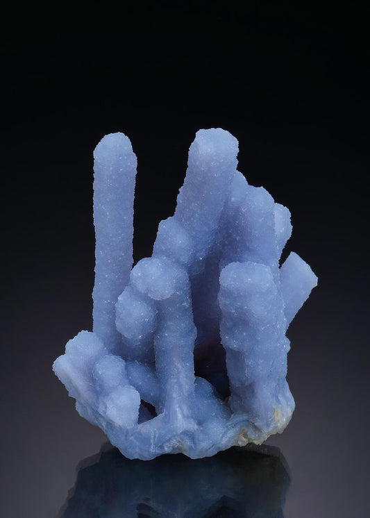 CC46906 specimen image